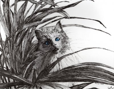 Planta Monty, 2015 de Vincent Alexander Booth