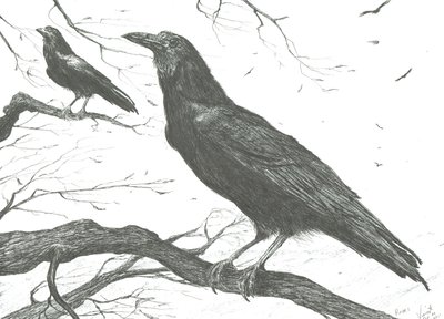 Observadores, 2011 de Vincent Alexander Booth