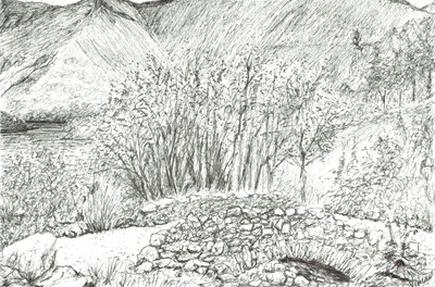 Antiguo puente de piedra en la región de los lagos, 2005 de Vincent Alexander Booth