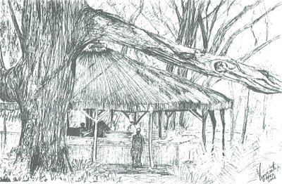 Bar al aire libre, lago Naivasha de Vincent Alexander Booth