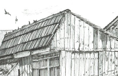 Palomar, 2003 de Vincent Alexander Booth