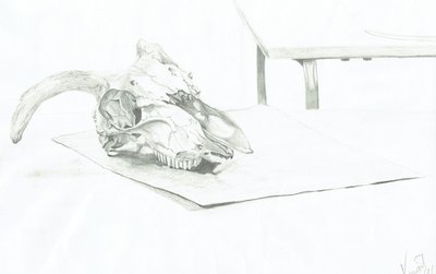 Calavera de Vincent Alexander Booth