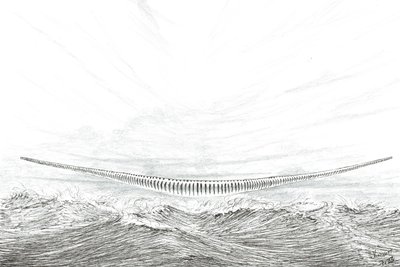 Creadores de tormentas Cabo Leveque, 2023 de Vincent Alexander Booth