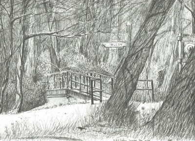 El viejo puente de metal, parque Bramhall, 2004 de Vincent Alexander Booth