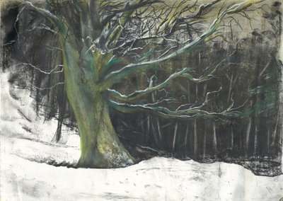 Árbol en nieve de invierno en los bosques de Osmotherley de Vincent Alexander Booth