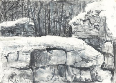 Muro en el bosque Osmotherley de Vincent Alexander Booth