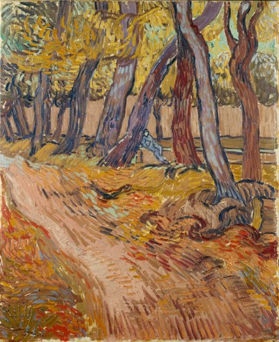 Camino en el jardín del asilo en Saint-Rémy, 1889 de Vincent van Gogh
