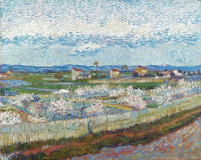 Melocotoneros en flor, 1889 de Vincent van Gogh