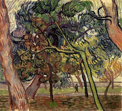 Pinos en el jardín del asilo, 1889 de Vincent van Gogh