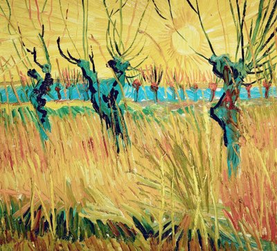 Sauces al atardecer, 1888 de Vincent van Gogh