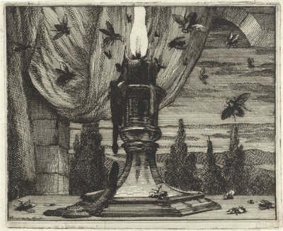 Las moscas vienen a la luz de una vela de Vincent Laurensz. van der Vinne (II)