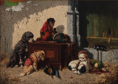 Compañeros de circo de Vincent de Vos