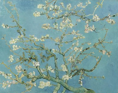 Almendro en flor de Vincent van Gogh