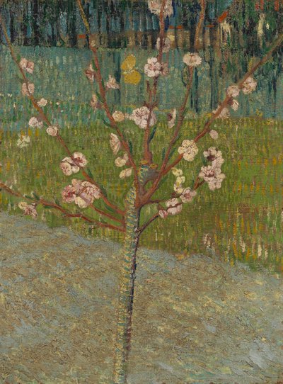 Almendro en flor de Vincent van Gogh