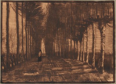 Avenida de los abedules y álamos de Pollard de Vincent van Gogh