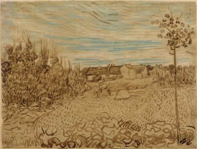 Casa de campo en un campo de Vincent van Gogh