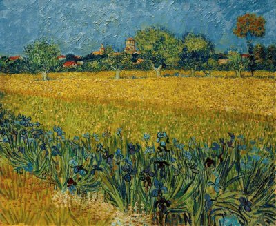 Vista de Arles con iris en primer plano de Vincent van Gogh