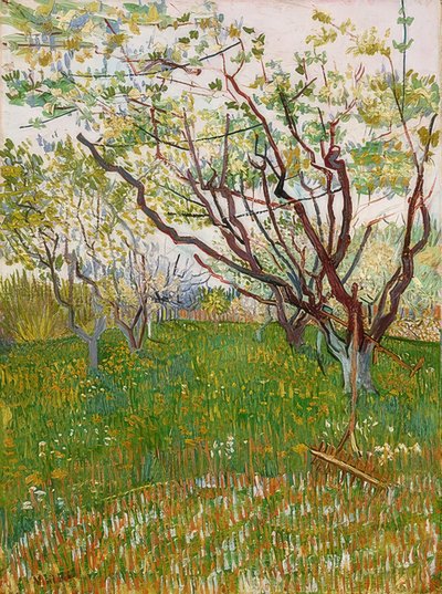 Huerto en flor de Vincent van Gogh