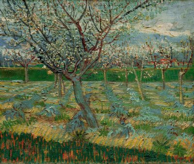 Huerto en flor con albaricoqueros de Vincent van Gogh