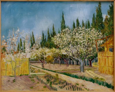 Huerto en flor, rodeado de cipreses de Vincent van Gogh