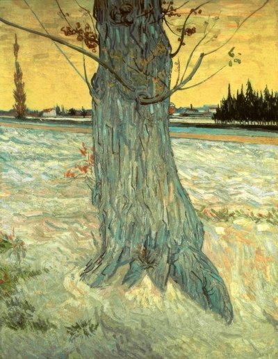 El árbol de Vincent van Gogh