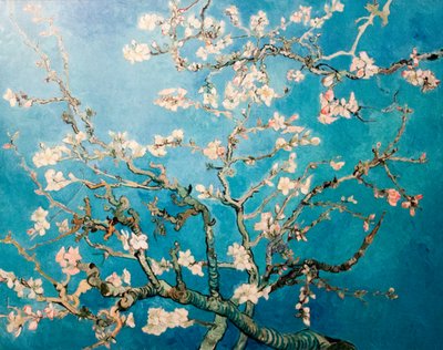 Holandés: Amandelbloesem Almendro en flor Árbol en rama de Vincent van Gogh