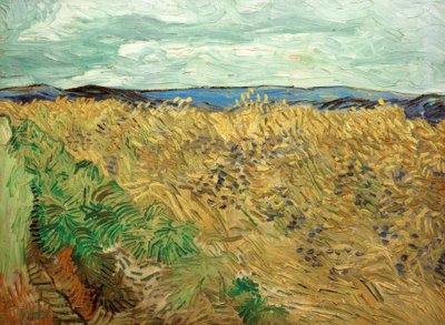 Campo, con acianos de Vincent van Gogh