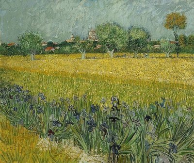 Campo con lirios cerca de Arles. Mayo 1888 de Vincent van Gogh