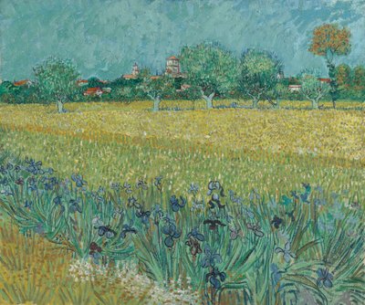 Campo con flores cerca de Arles de Vincent van Gogh