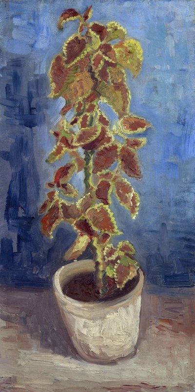 Ortiga de fuego en una maceta de Vincent van Gogh