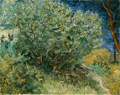 Arbusto de lilas de Vincent van Gogh