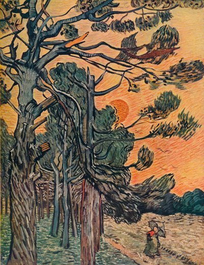 Bosque de abetos al declinar el día, 1889 de Vincent van Gogh