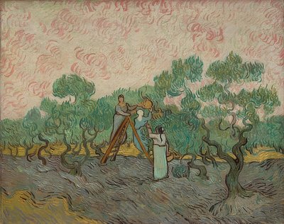 Mujeres en la cosecha de aceitunas. 1889 de Vincent van Gogh