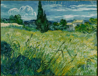 Campo de Trigo Verde con Ciprés de Vincent van Gogh