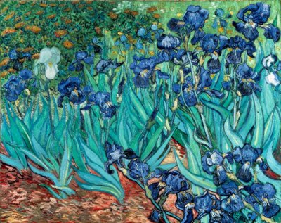 Iris de Vincent van Gogh