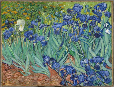 Iris de Vincent van Gogh