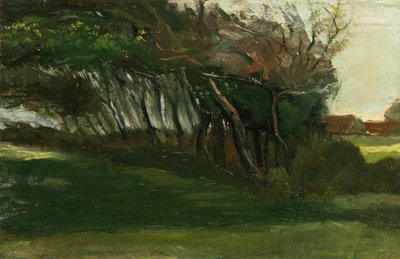 Paisaje con árboles azotados por el viento, c.1883-84 de Vincent van Gogh