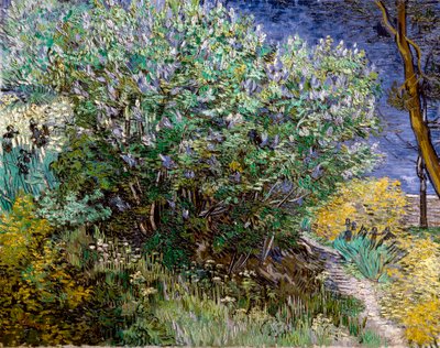 Le buisson de lilas. Vincent VAN GOGH (1853-1890) de Vincent van Gogh