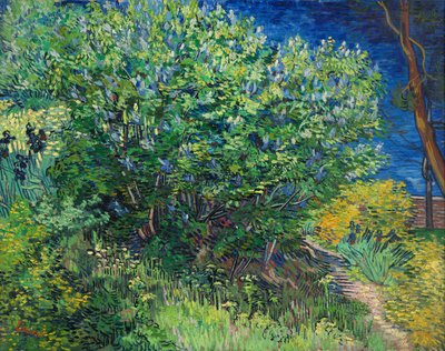 Lilas de Vincent van Gogh