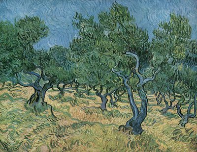 Olivar de Vincent van Gogh