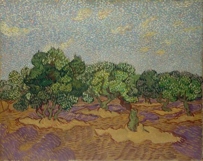 Olivos de Vincent van Gogh