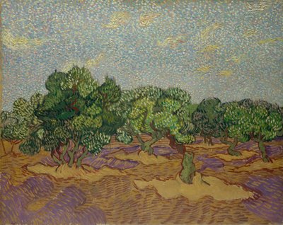 Olivos, 1889 de Vincent van Gogh