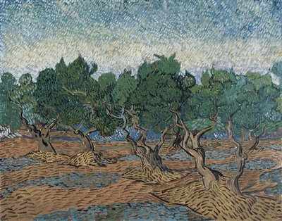Olivar de Vincent van Gogh