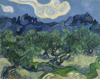 Olivos. 1889 de Vincent van Gogh