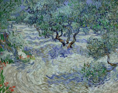 Olivar de Vincent van Gogh