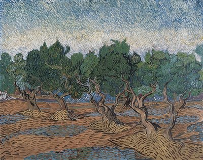 Olivar de Vincent van Gogh