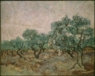 Recolector de aceitunas de Vincent van Gogh