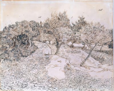 Olivos en Montmajour de Vincent van Gogh