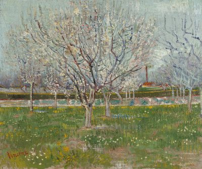 Huerto en flor (ciruelos) de Vincent van Gogh