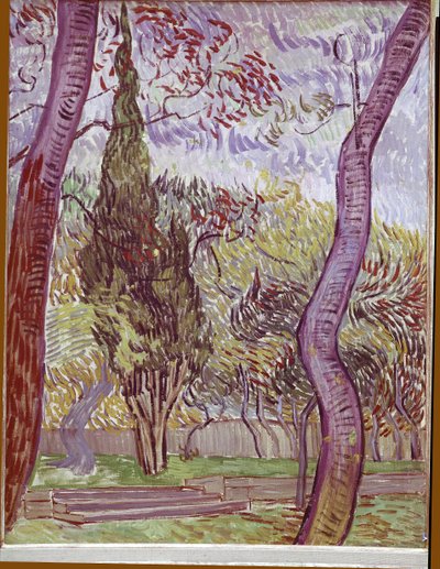 Parque del Hospital Saint-Paul de Saint-Remy-de-Provence de Vincent van Gogh